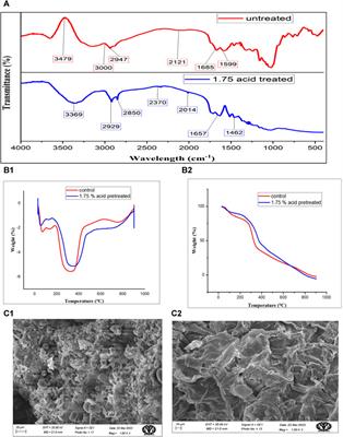 Acid hydrolysis of Solanum tuberosum periderm for accumulation of polyhydroxyalkanoates in Pseudomonas putida MTCC 2475